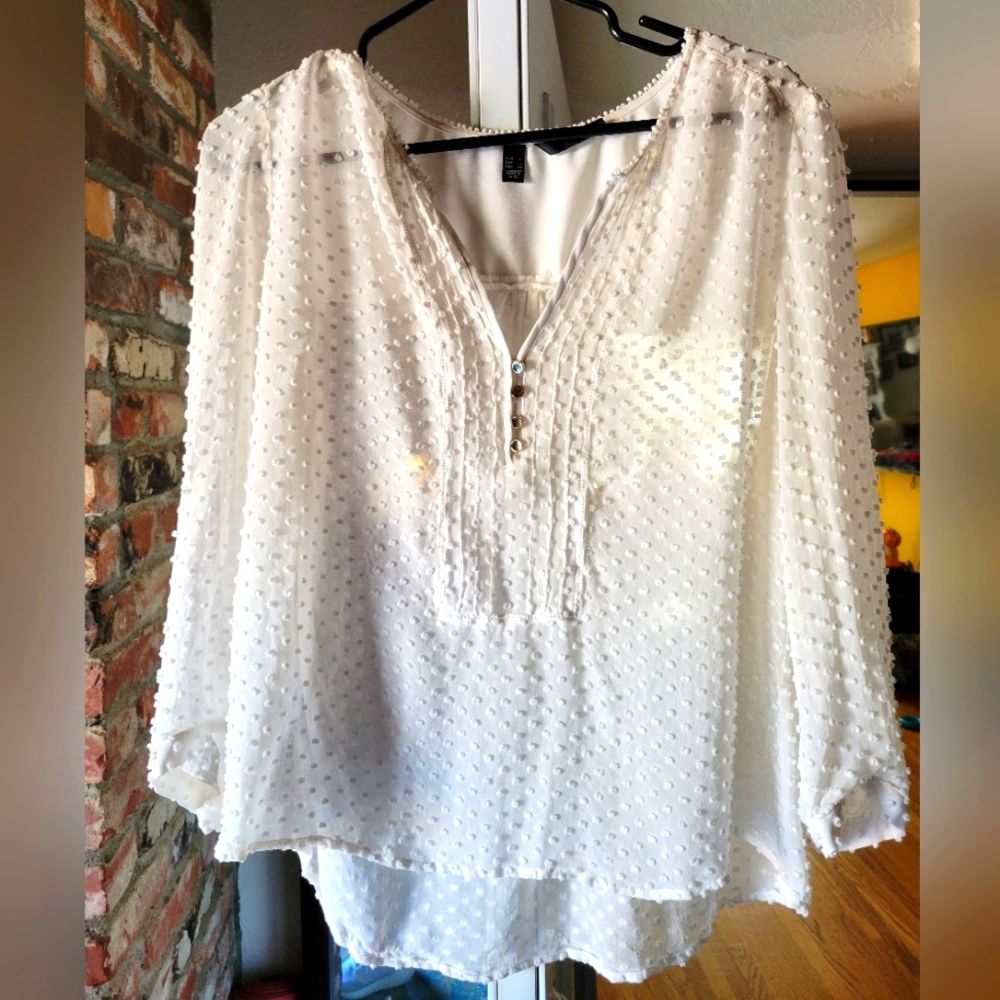Luxurious Blouse
